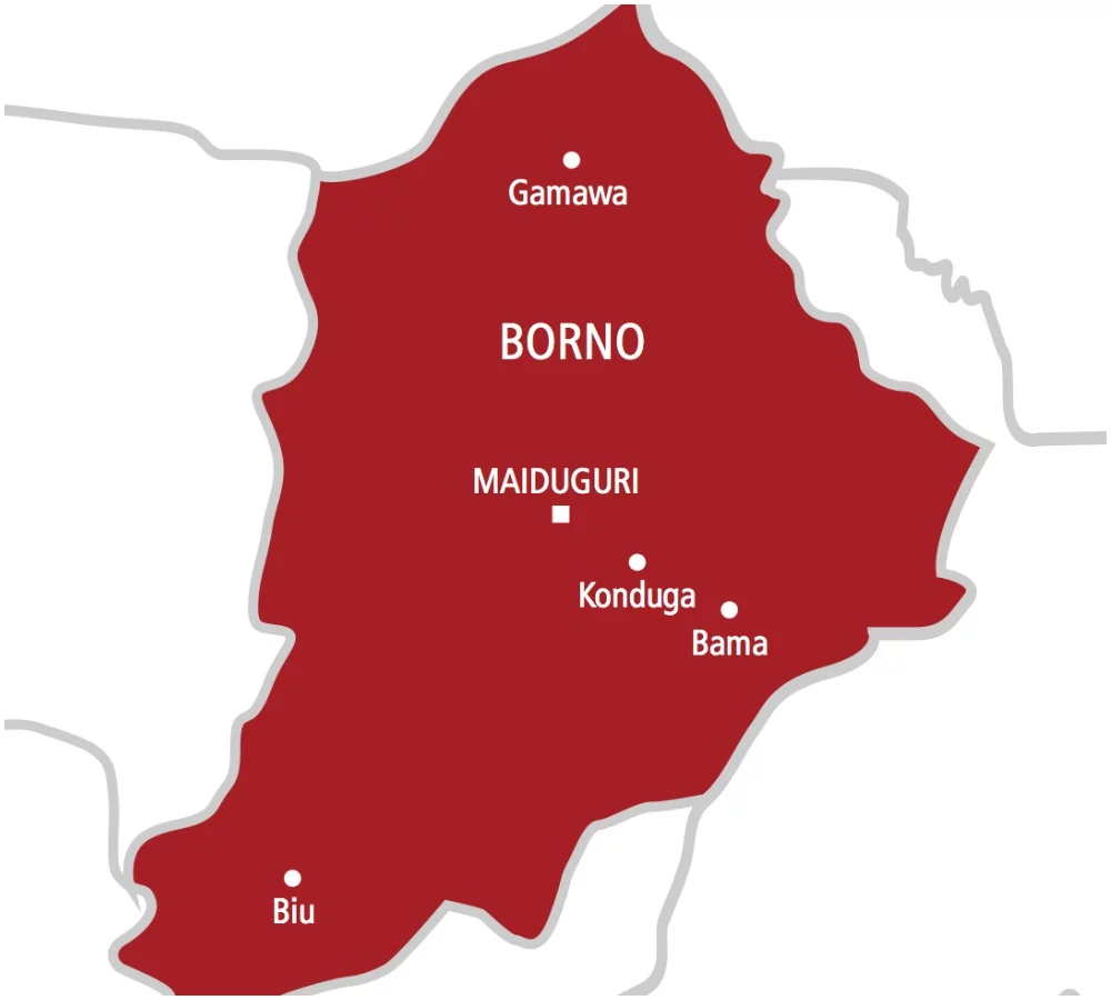 Canoe mishap in Borno leaves three dead, five rescued