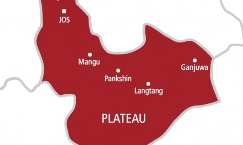 Plateau residents in shock as aborted twin babies found at refuse dump