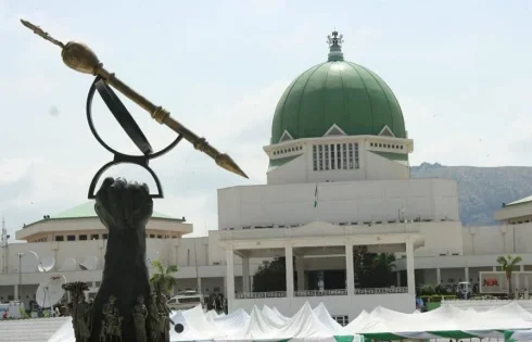 State police: Nigerian governors submit proposal to National Assembly