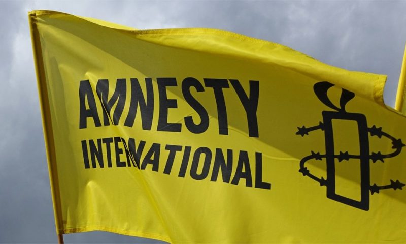 Amnesty International raises alarm over killing of 29 people by Boko Haram in Adamawa