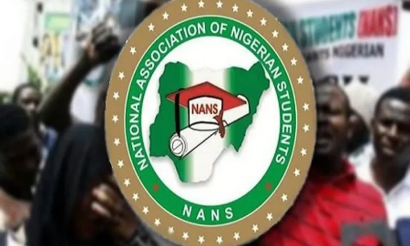 NANS raises alarm over repeated civilian deaths in air operations