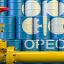 OPEC weakened by UAE exit, analysts warn FG
