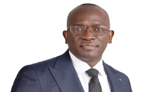 BoI, other DFIs need recapitalisation — Oyerinde
