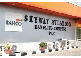 Skyway Aviation Handling Company Posts Strong Profit