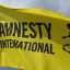 Amnesty International demands probe into civilian deaths in Niger airstrike