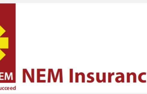 Strong 2025 earnings lift NEM Insurance assets to N186bn