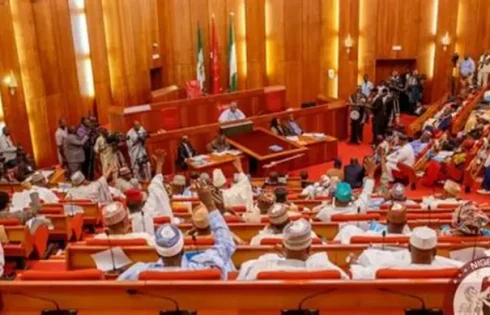 Senate amends Electoral Act to clarify jurisdiction in election disputes