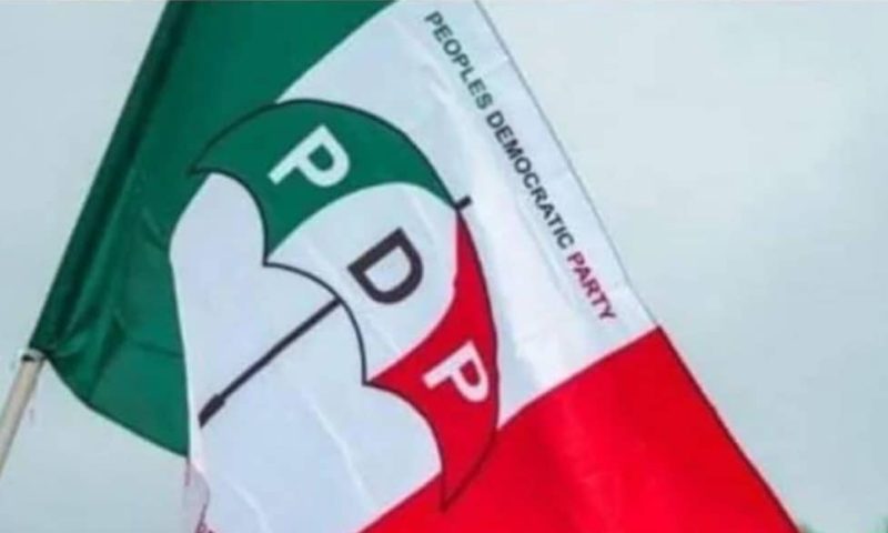 2027 guber: Dona Nwogbo emerges Enugu PDP factional candidate