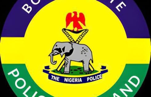 Police to enforce monthly environmental sanitation in Borno to fight cholera