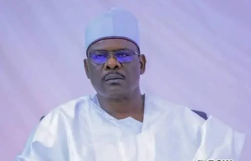 2027: ‘It’ll be tough like WWE’ – Ndume on Tinubu facing Peter Obi, Atiku