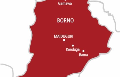Freed Borno kidnap victims describe harsh conditions in captivity