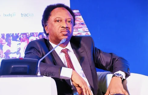 REA appointment: Fayose a grassroot politician – Shehu Sani