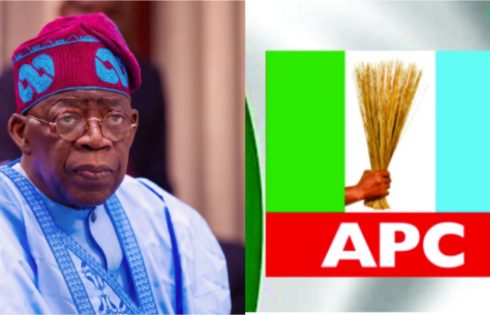 Tinubu, APC out to cripple opposition ahead of 2027 election – Habibu, Zuwoghe