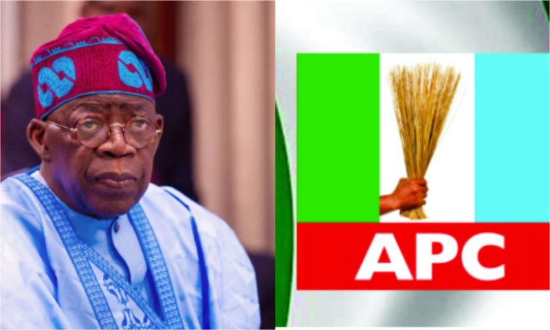 Tinubu, APC out to cripple opposition ahead of 2027 election – Habibu, Zuwoghe