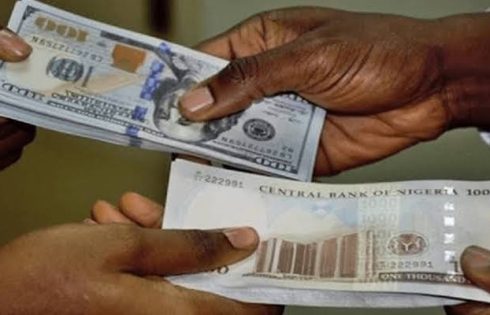 Dollar liquidity drives naira performance in H1’26