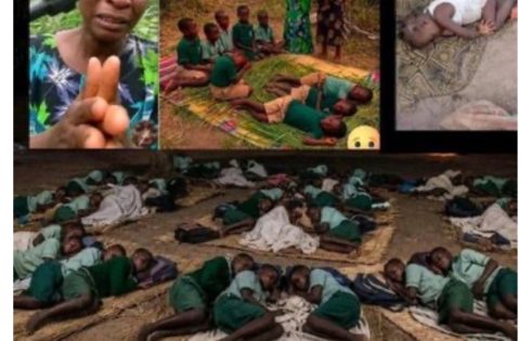 Oyo, Borno abductions: Schoolchildren spend 54 days in forest amid heavy downpour