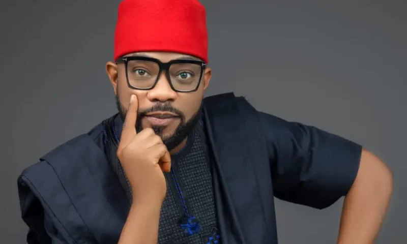 2027: APP will win elective positions through ballot not court – Ugochinyere