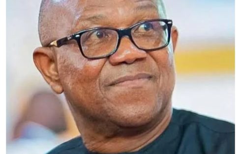 Benue attacks: Govt failed Otukpo-Nobi, Efeyi-Ugboju – Peter Obi