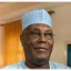 LG funds will go directly to council accounts if I’m President – Atiku
