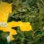 Kebbi military widows, Nigerian Legion disagree over new leadership