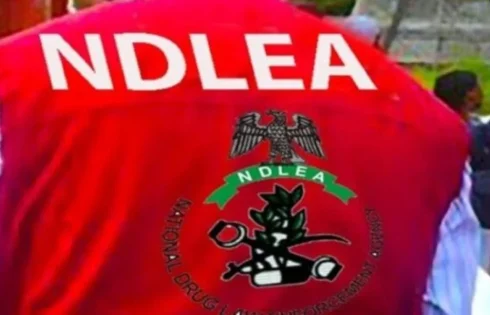 NDLEA intercepts drugs worth N2bn, secures convictions of 248 suspects in Delta