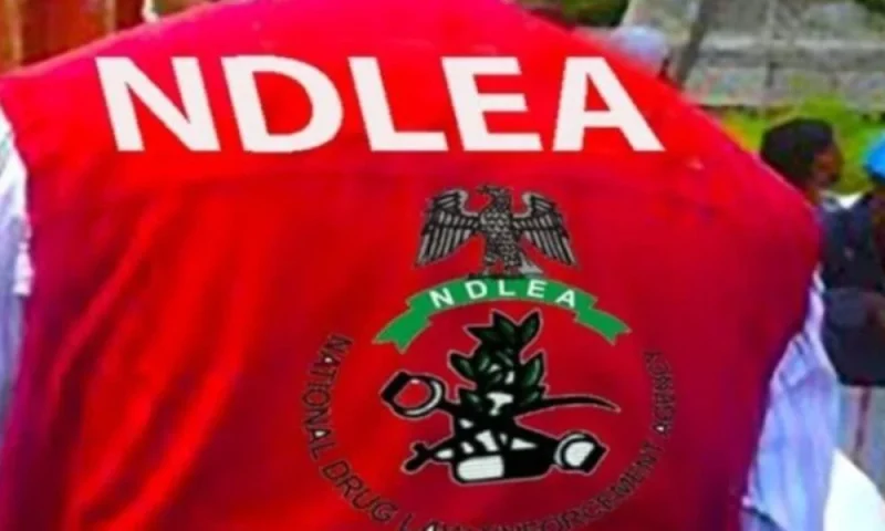NDLEA intercepts drugs worth N2bn, secures convictions of 248 suspects in Delta