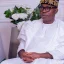 2027: Adebayo urges Nigerians to vote out Tinubu, APC