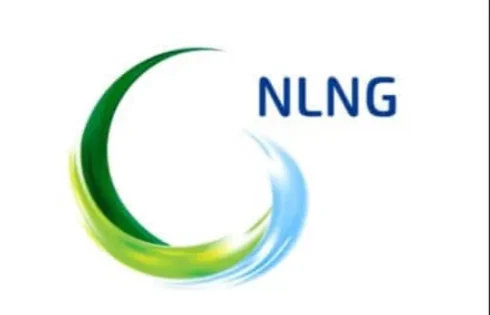 NLNG/SEPNU leads as domestic cooking gas supply rises