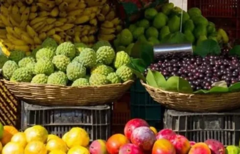 Stop ripening fruits with chemicals – Kano govt warns sellers