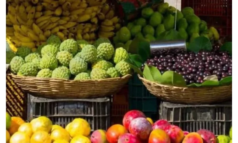 Stop ripening fruits with chemicals – Kano govt warns sellers
