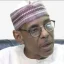2027: Why opposition parties can’t sleep with both eyes closed – Baba-Ahmed