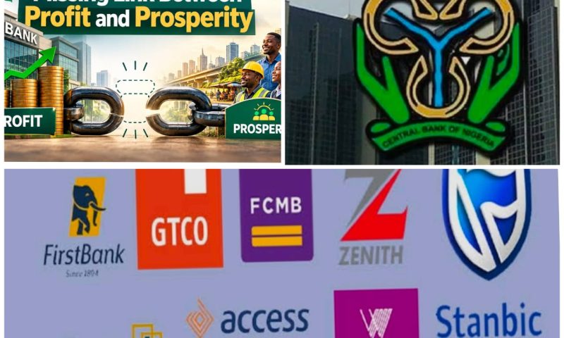 Nigeria’s Recapitalised Banks And Missing Link Between Profit And Prosperity