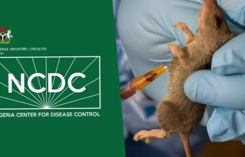Nigeria records 263 Lassa fever deaths, 1,115 confirmed cases across 24 states
