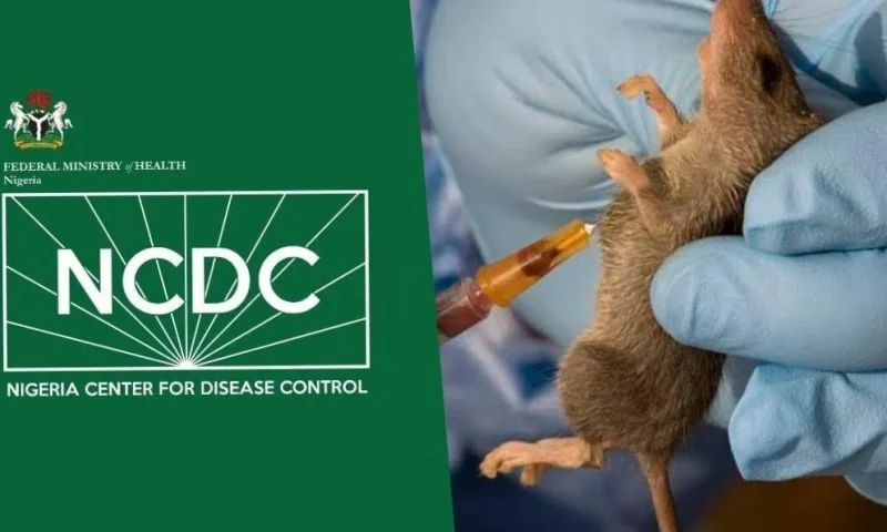 Nigeria records 263 Lassa fever deaths, 1,115 confirmed cases across 24 states