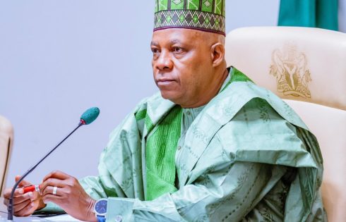 You can fix electricity without FG – Shettima tells 36 governors