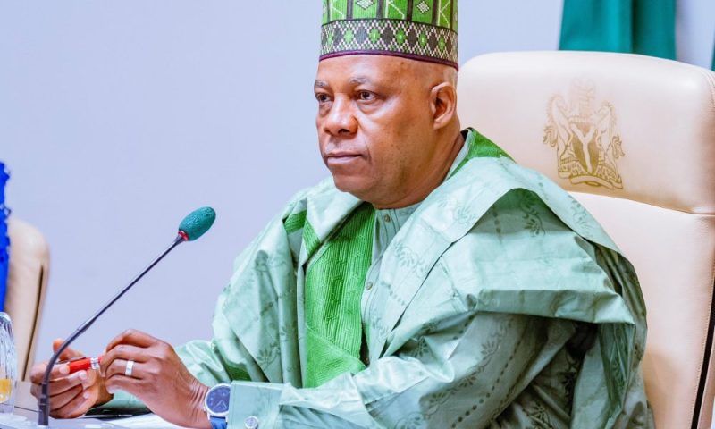 You can fix electricity without FG – Shettima tells 36 governors